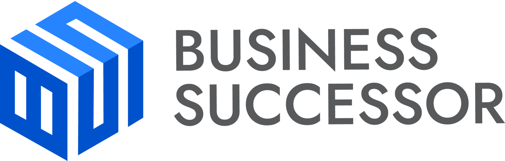 Business Successor AG