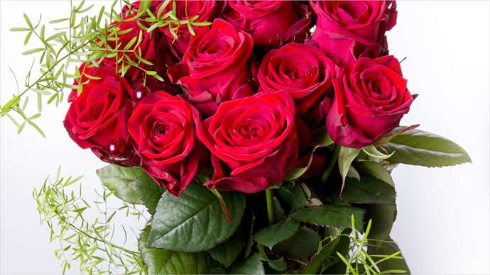 Führendes und renommiertes Blumengeschäft spezialisiert in Rosen