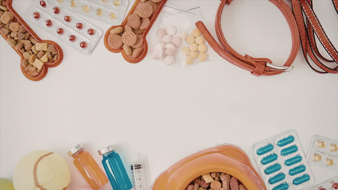 Wachstumsstarker Onlinehändler für Hundebedarf – Vollsortiment, Multi-Channel (Temu, Galaxus, Amazon)